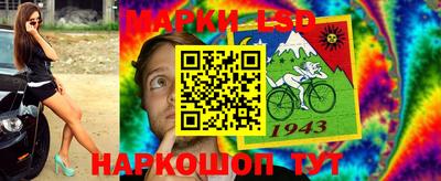 гидра Краснознаменск