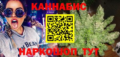 гидра Краснознаменск