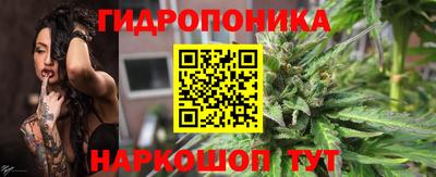 гидра Краснознаменск