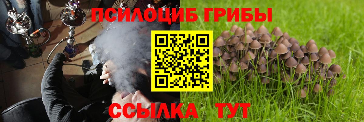Домодедово  Псилоцибиновые грибы GOLDEN TEACHER  дарнет шоп  Вход с VPN  Псилоцибиновые грибы GOLDEN TEACHER 